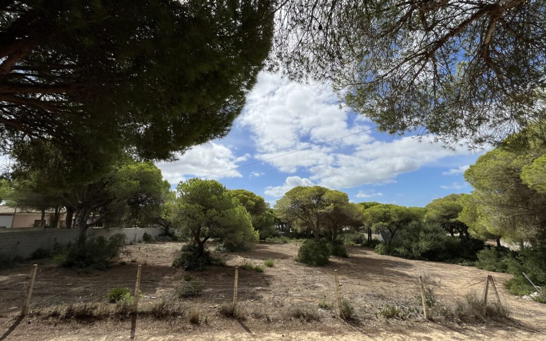 Finca rústica en venta La Espartosa (Chiclana)